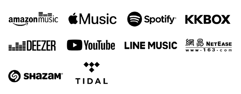 Digital Service Providers